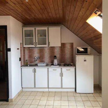 Ferenc Vendeghaz Hévíz