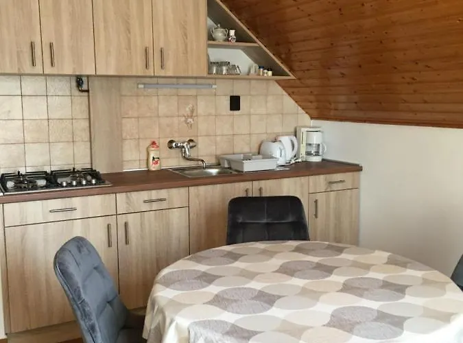 Πανσιόν Ferenc Vendeghaz 3*