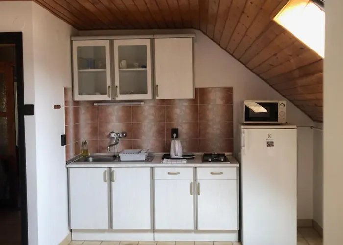 Ferenc Vendeghaz Hévíz