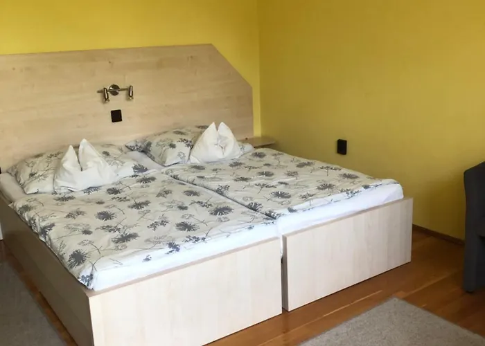 Ferenc Vendeghaz ヘーヴィーズ